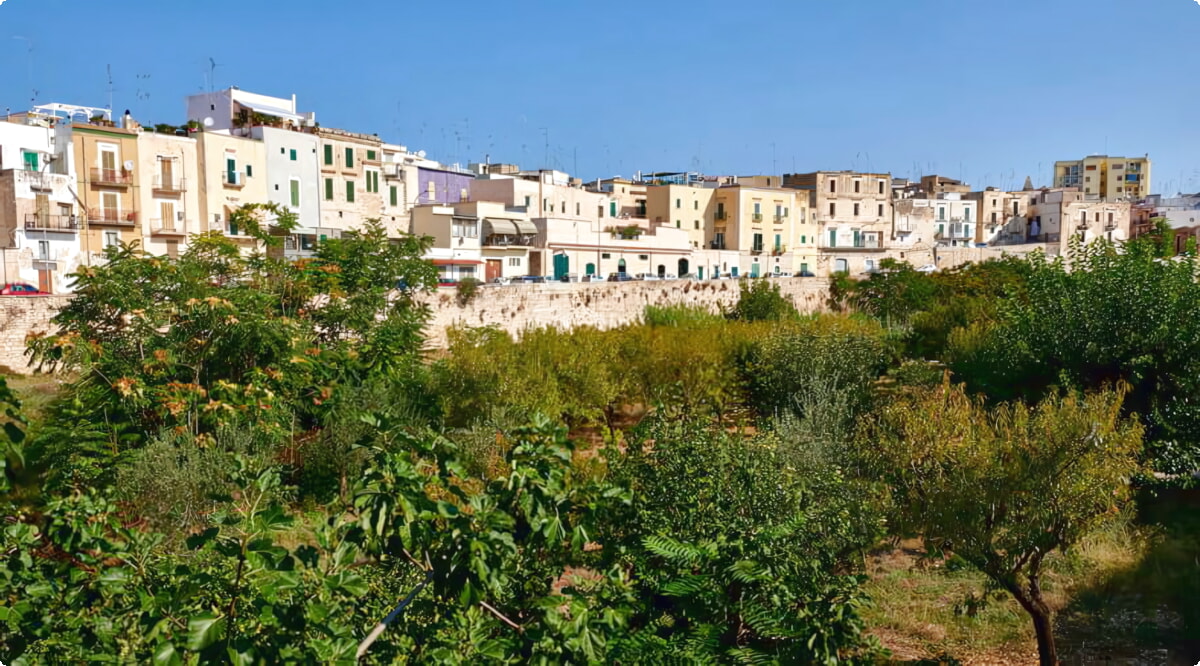 Naše zásoby zahrnují širokou škálu vozidel.